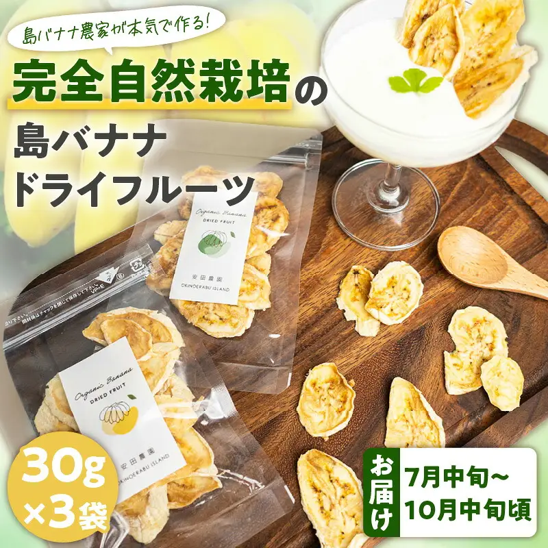 【先行受付】島バナナ農家が本気で作る完全自然栽培の島バナナドライフルーツ30g×3袋（7月中旬～10月中旬頃発送） W029-011u バナナ 加工品