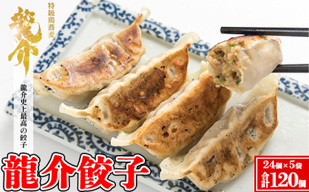龍介餃子【24個入り×5袋セット】 ※着日指定不可 ※離島への配送不可