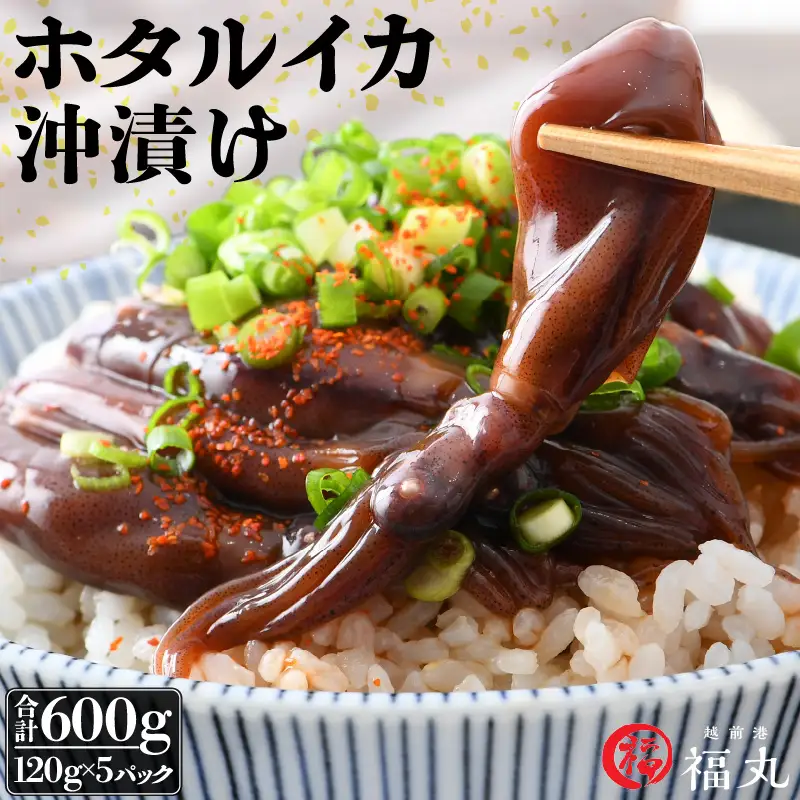 ホタルイカ沖漬け 120g × 5パック 福井の網元漁師「福丸」が厳選！ [e15-a008]
