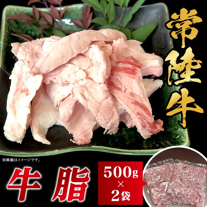 牛脂 1kg 500g × 2袋 常陸牛 牛脂