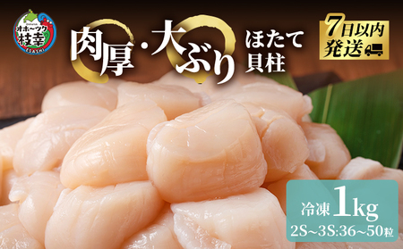 ホタテ 冷凍貝柱 肉厚大玉 枝幸ほたて ホタテ【1kg 36〜50粒】