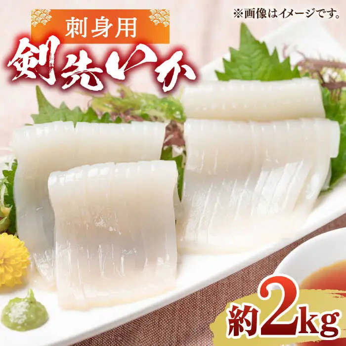 刺身用 剣先イカ 約2kg（急速冷凍）《壱岐市》【魚助】 イカ いか 剣先いか ケンサキイカ刺し身 鮮魚 海鮮 [JFX001]