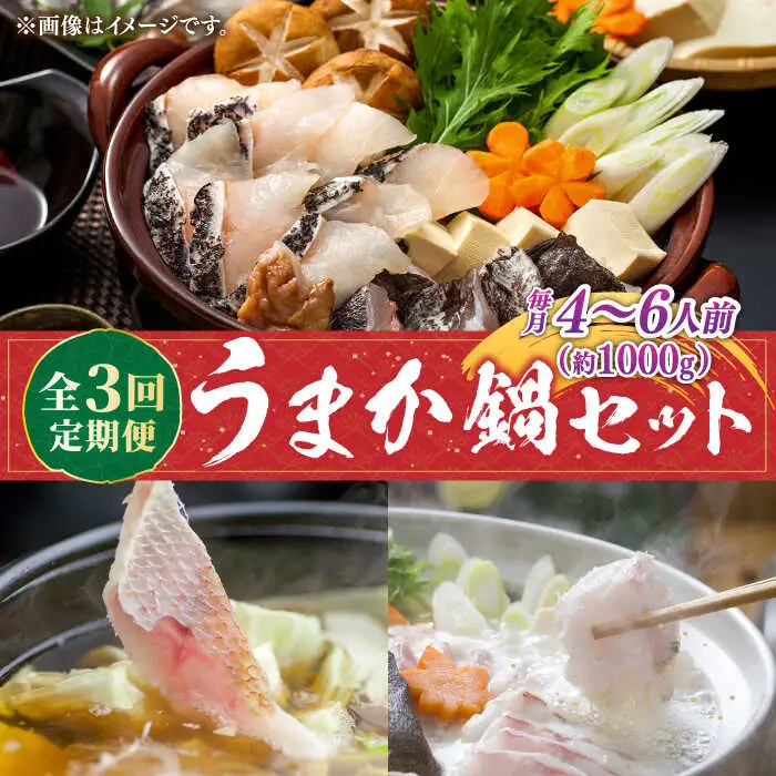 【先行予約】【全3回定期便】《1・2・3月お届け》 うまか鍋セット 4から6人前（切身約1000g）【2027年1月以降順次発送】 《壱岐市》【魚助】 鍋 くえ クエ ブリ ぶり 鰤 鯛 たい タイ クエ鍋  [JFX004]