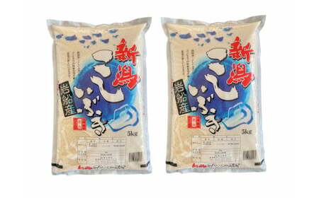 【令和7年産米】 新潟県産 こしいぶき 5kg×2袋（合計10kg） 精米 お米 白米 1033001