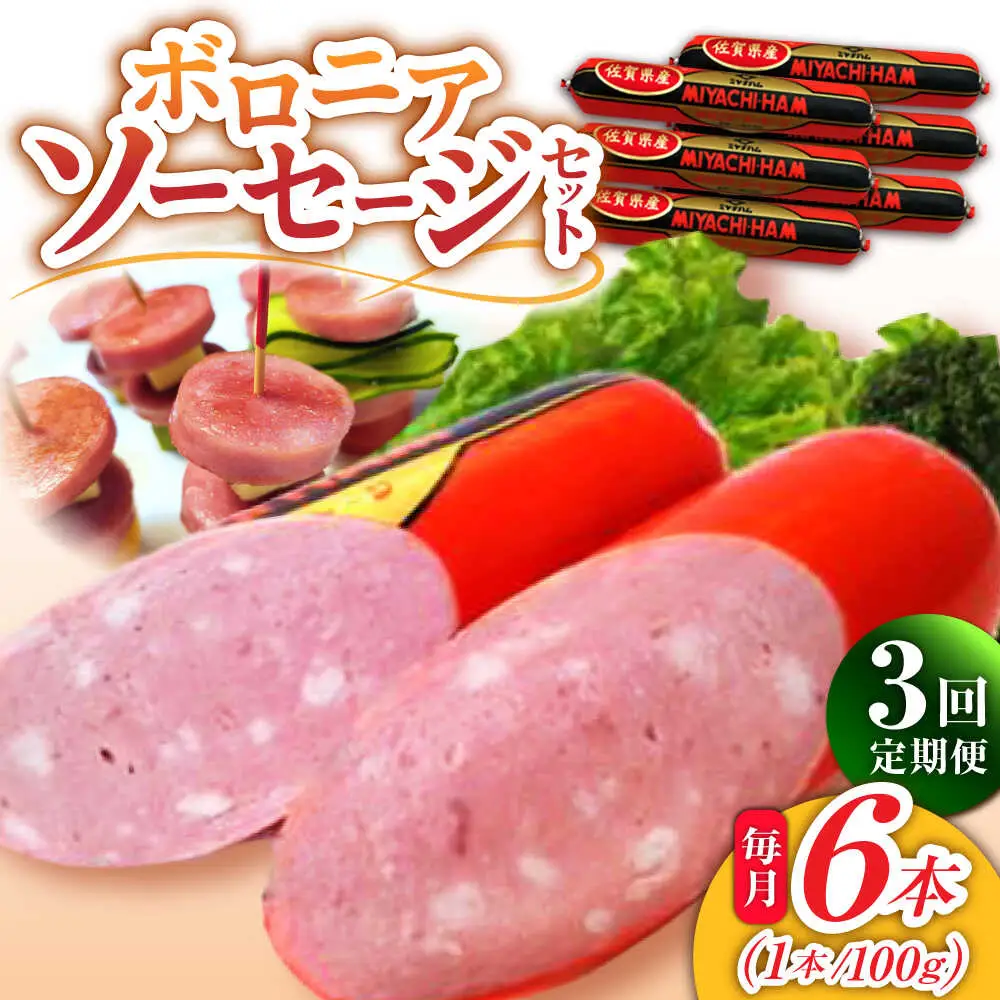 【3回定期便】宮地ハムのロングセラー ボロニアソーセージ 100g×6本 /宮地ハム [UBM011] ソーセージ