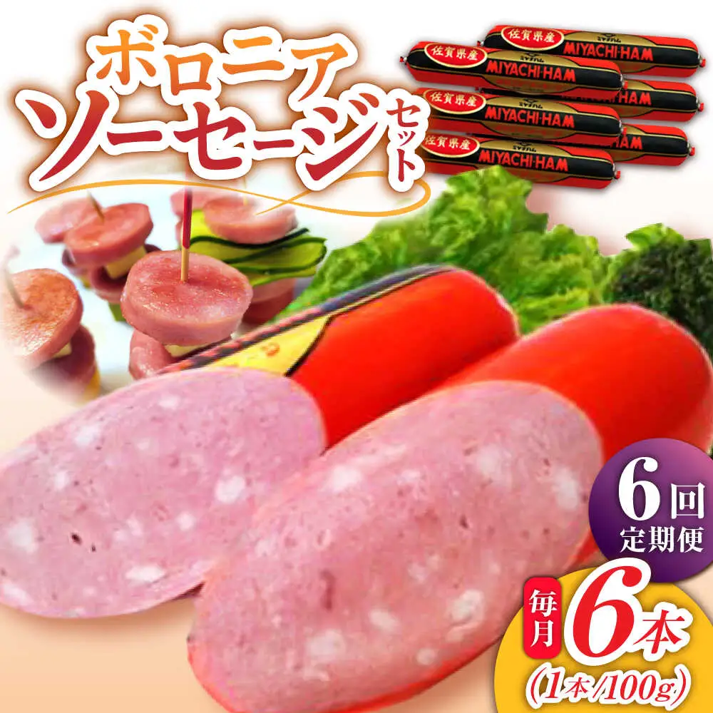【6回定期便】宮地ハムのロングセラー ボロニアソーセージ 100g×6本 /宮地ハム [UBM012] ソーセージ