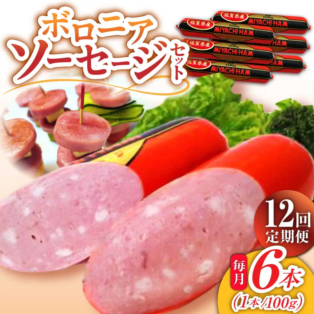 【12回定期便】宮地ハムのロングセラー ボロニアソーセージ 100g×6本 /宮地ハム [UBM013] ソーセージ