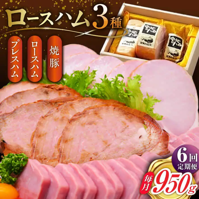 【6回定期便】ロースハム詰合せ 計950g（ロースハム 焼豚 プレスハム）/宮地ハム [UBM018]