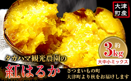 熊本県 大津町産 タカハマ観光農園 の 紅はるか 約3kg 大中小ミックス《30日以内に出荷予定(土日祝除く)》 さつまいも 芋 スイートポテト 干し芋にも