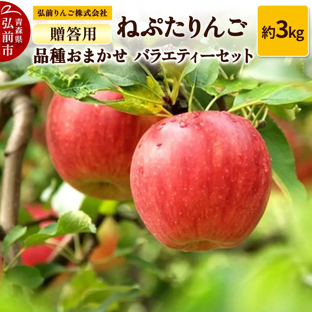 りんご ねぷたりんご バラエティーセット 贈答用 約3kg 9月発送