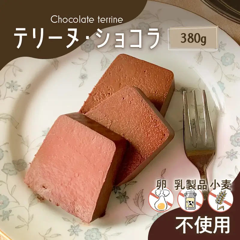 【 洋菓子 】 テリーヌ ・ ショコラ K119-002 冷凍