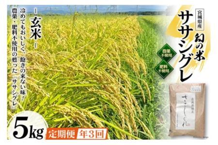3回 定期便 希少品種米 ササシグレ 玄米 5kg×3回 総計15kg [長沼 太一 宮城県 加美町 44581418] 44581418