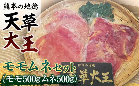 FKK19-176_天草大王　モモムネセット(モモ500g・ムネ500g) 熊本県 嘉島町