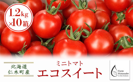 2026年 北海道仁木町産 ミニトマト エコスイート 1.2kg×10箱