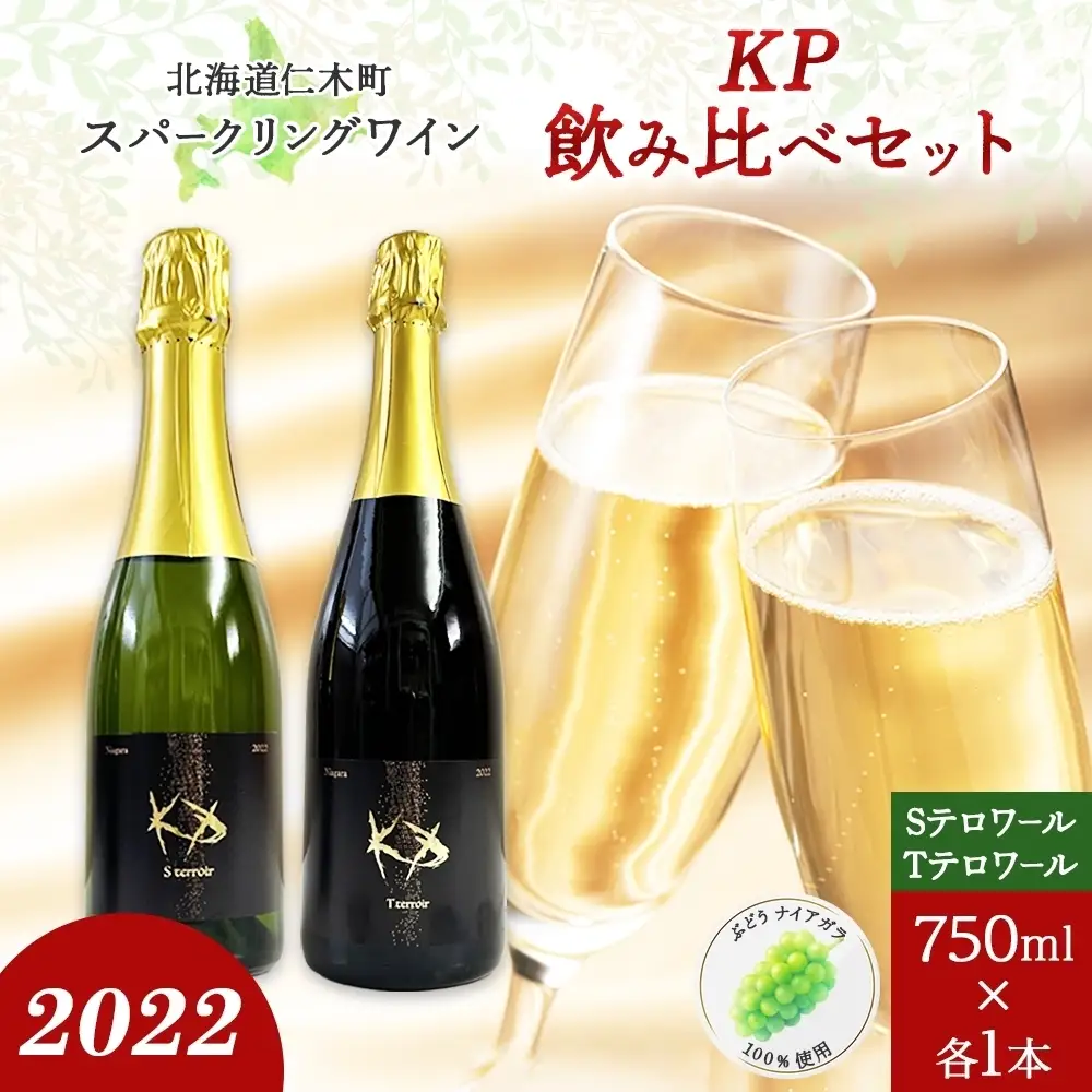 スパークリングワイン T・Sテロワール 飲み比べ スパークリングワイン【750ml各1本】