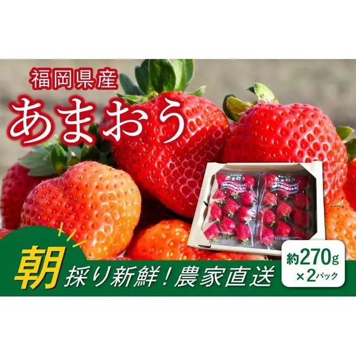福岡県産あまおう 約270g×2パック 朝採りイチゴ 農家直送 苺専用パッケージでお届け