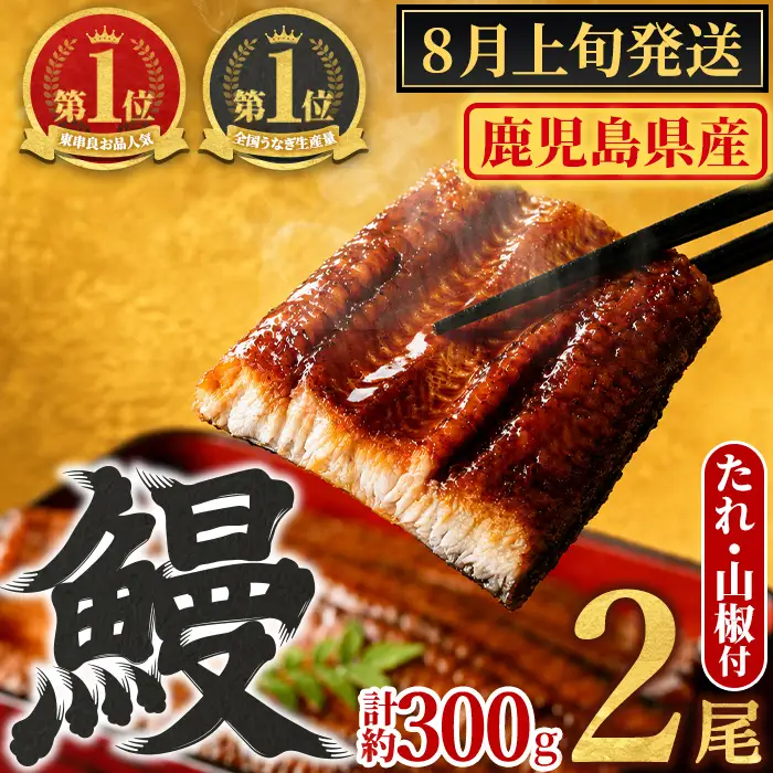 【0104347a-2608】＜8月上旬発送予定＞東串良町のうなぎ蒲焼(無頭)(2尾・計約300g・タレ、山椒付) うなぎ 高級 ウナギ 鰻 国産 蒲焼 蒲焼き たれ 鹿児島 ふるさと 人気【アクアおおすみ】