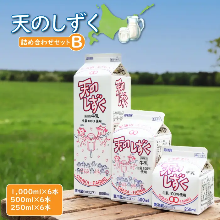 天のしずく　詰め合わせセットＢ(1000ml×6本・500ml×6本・250ml×6本,合計10.5L)　【5100201】
