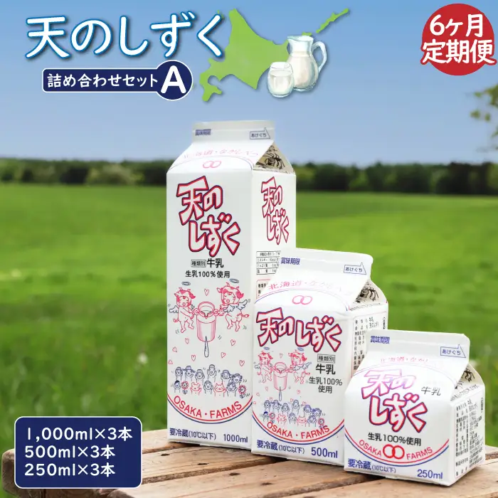 【定期便：全6回】天のしずく　詰め合わせセットＡ(1000ml×3本・500ml×3本・250ml×3本,合計5.2L)【5100301】