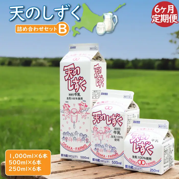 【定期便：全6回】天のしずく　詰め合わせセットＢ(1000ml×6本・500ml×6本・250ml×6本,合計10.5L)【5100401】
