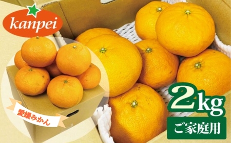 【2027年先行予約】訳あり 甘平 約2kg 家庭用 【2027年2月上旬以降発送予定】 みかん 愛媛 人気 サイズミックス 柑橘 伊予市｜B234