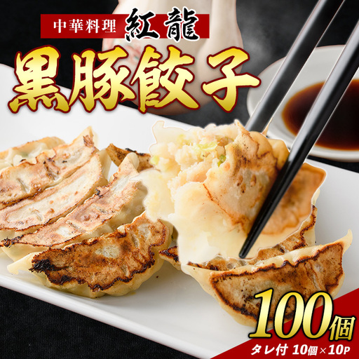 黒豚 餃子 10個入×10パック 地元の中華料理店で人気 紅龍 IB131-003 餃子 餃子 