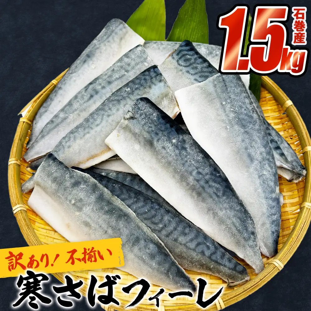 訳あり 寒さば フィーレ 無塩 1.5kg 切身 冷凍 サバ
