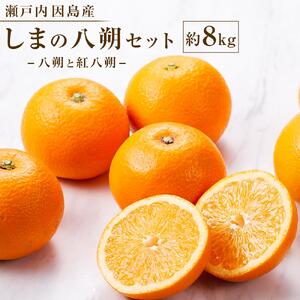 【2027年1月下旬から発送】しまの八朔セット約8kg（Mサイズ程度　約30個　紅八朔と八朔）