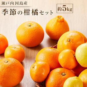 【2027年1月下旬から発送】季節の柑橘セット約5kg 