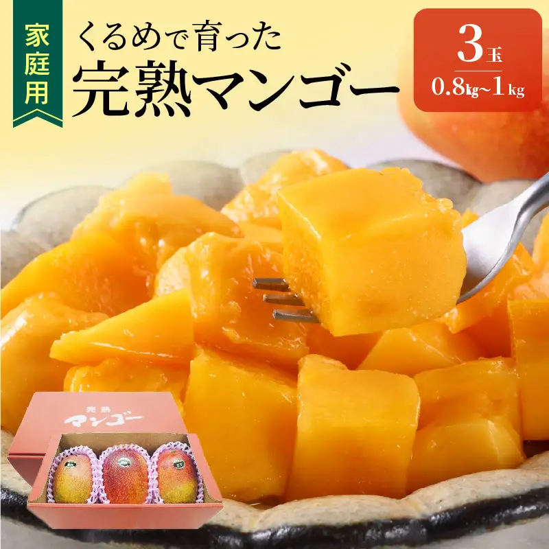 【2027年7月以降お届け】【家庭用】くるめで育った完熟マンゴー（3玉：約0.8～1kg）_ 〔Fm009-03〕