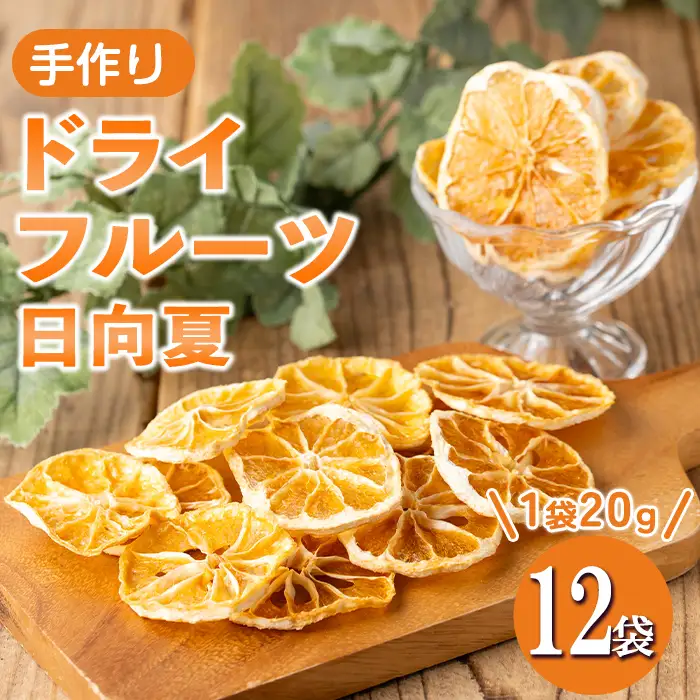 isa567 ドライフルーツ日向夏「そのまんまドライしました。」(計12袋・各20g) ドライフルーツ 日向夏 砂糖不使用 小分け 手づくり ギフト 加工食品 果物 フルーツ ハンドメイド ギフト【薩摩美食倶楽部】