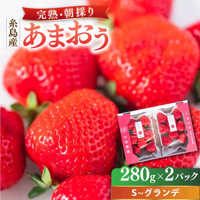 【先行受付】農家直送！ 糸島産 完熟あまおう 280g×2パック (S-Gサイズ) 【2027年1月以降順次発送】糸島市 / 小河農園 フルーツ 果物 いちご イチゴ 苺 [AJN003]