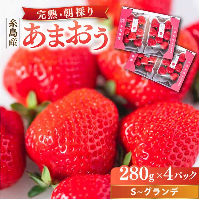 【先行受付】農家直送！ 糸島産 完熟あまおう 280g×4パック (S-Gサイズ)【2027年1月以降順次発送】 糸島市 / 小河農園 フルーツ いちご 苺 [AJN004]