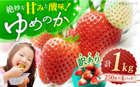 【先行予約】 訳あり ゆめのかいちご 計1kg [CDR001] いちご