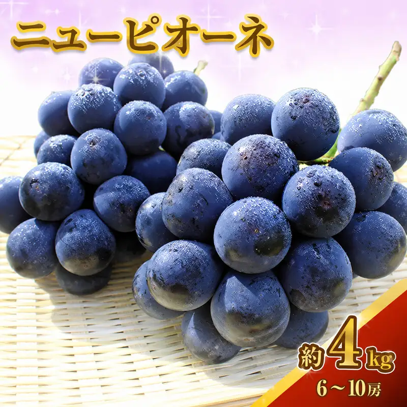 ニューピオーネ 岡山県産 ニューピオーネ【約4kg】【先行予約】