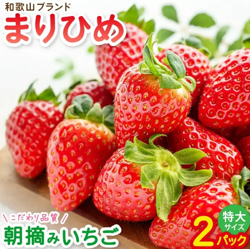 特大まりひめイチゴ 朝摘 6個～11個入×2パック【2027年1月中旬頃より発送】【先行予約】【KT3】【BH003-kiy003】