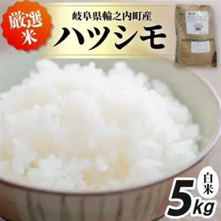 輪之内町産　厳選米ハツシモ　白米5kg【1482493】