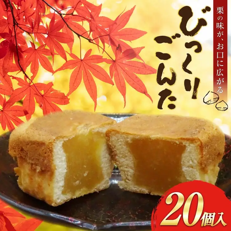 お菓子 びっくりごんた 20個入