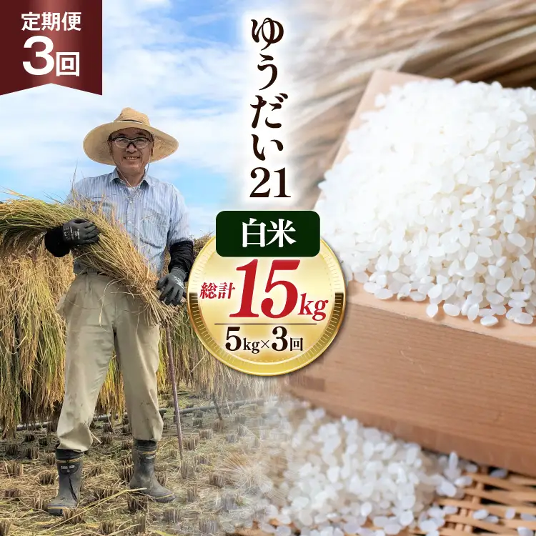 【3回 定期便】米 令和8年産 白米 ゆうだい21 5kg×3回 計15kg