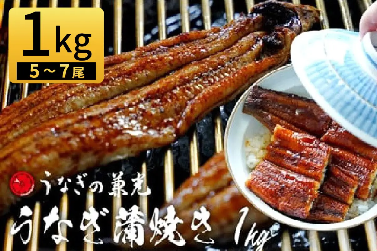 大満足1kg　愛知県三河一色産　うなぎ蒲焼き（5尾～7尾）・U040-30
