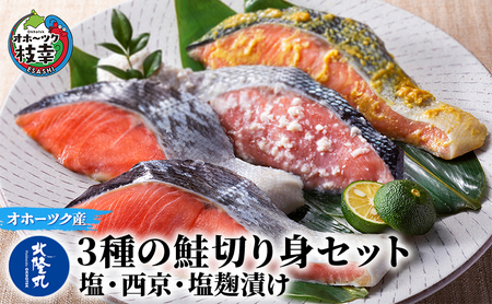 北隆丸 3種の鮭切り身セット（塩・西京・塩麹）オホーツク枝幸産【 鮭 サケ サーモン 切り身 干物 魚貝類 魚介類 漬け 漬魚 塩漬け 味噌漬け 西京漬け 加工食品 北海道 オホーツク 枝幸 】