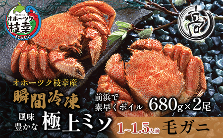 毛ガニ 特大 冷凍ボイル オホーツク枝幸産 毛ガニ【680g×2尾】