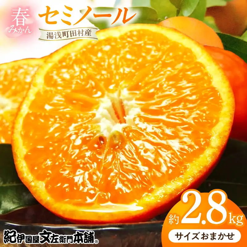 【2027年先行予約】セミノール オレンジ 約2.8kg 和歌山県有田産 春みかん (果実サイズおまかせ) 春柑橘 紀伊国屋文左衛門本舗_V7418 8,140円
