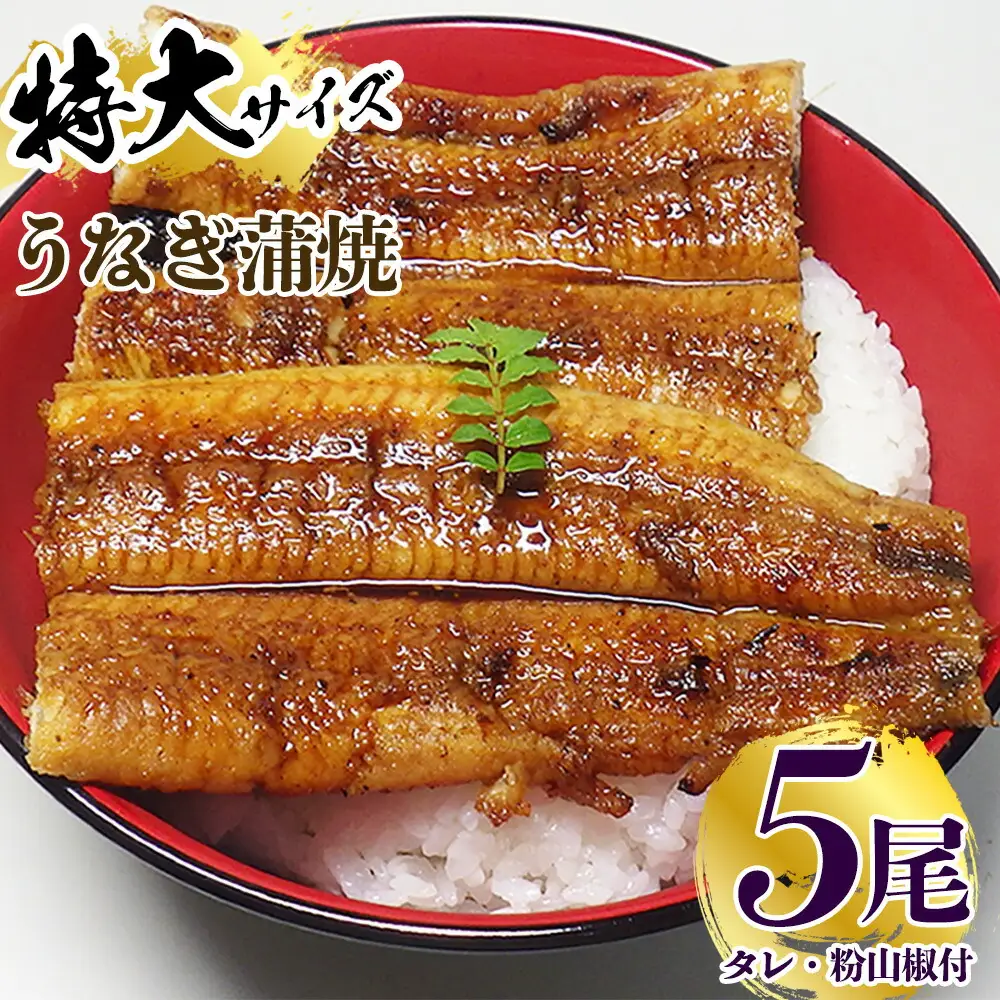 炭焼き うなぎ 蒲焼 特大サイズ 5尾 セット（約200g前後×5尾）タレ 粉山椒 付き　国産 鰻　冷凍 ウナギ　1尾ずつ真空パック　土用の丑の日　紀伊国屋文左衛門本舗_V7303