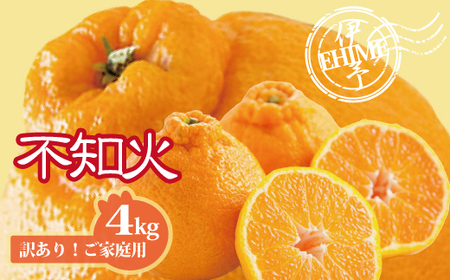 【2027年先行予約】不知火 訳あり しらぬい 約4kg ご家庭用 【2027年3月上旬以降発送予定】 みかん 愛媛 人気 サイズミックス 柑橘 伊予市｜B236