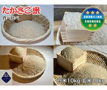 新米　たかさご米  白米10kg・玄米10kg 食べ比べセット【 栄養豊富   植物繊維   ミネラル    結びのまち   兵庫県 高砂市】