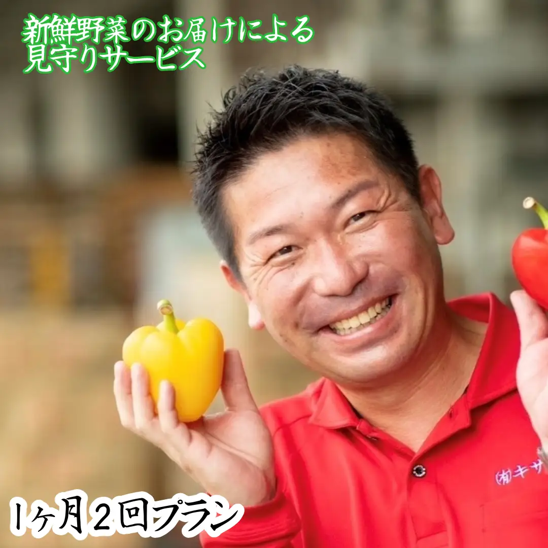 新鮮野菜のお届けによる見守りサービス（1ヶ月2回お届け）【兵庫県 高砂市】