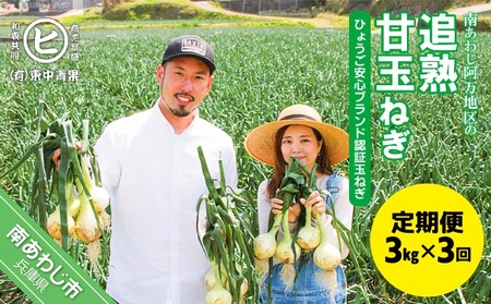 【3ヶ月定期便】「追熟甘玉ねぎ」３kg