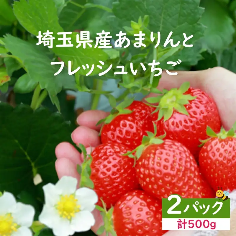 ＜先行予約＞安藤農園 埼玉県産あまりんとフレッシュいちご　各1パック（計500g）　【11218-0711】