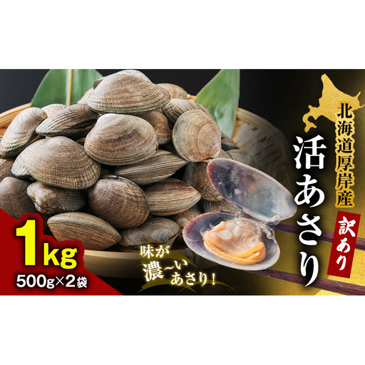 訳あり 活あさり 500g×2 (合計1kg) 砂出し済み 冷蔵 あさり